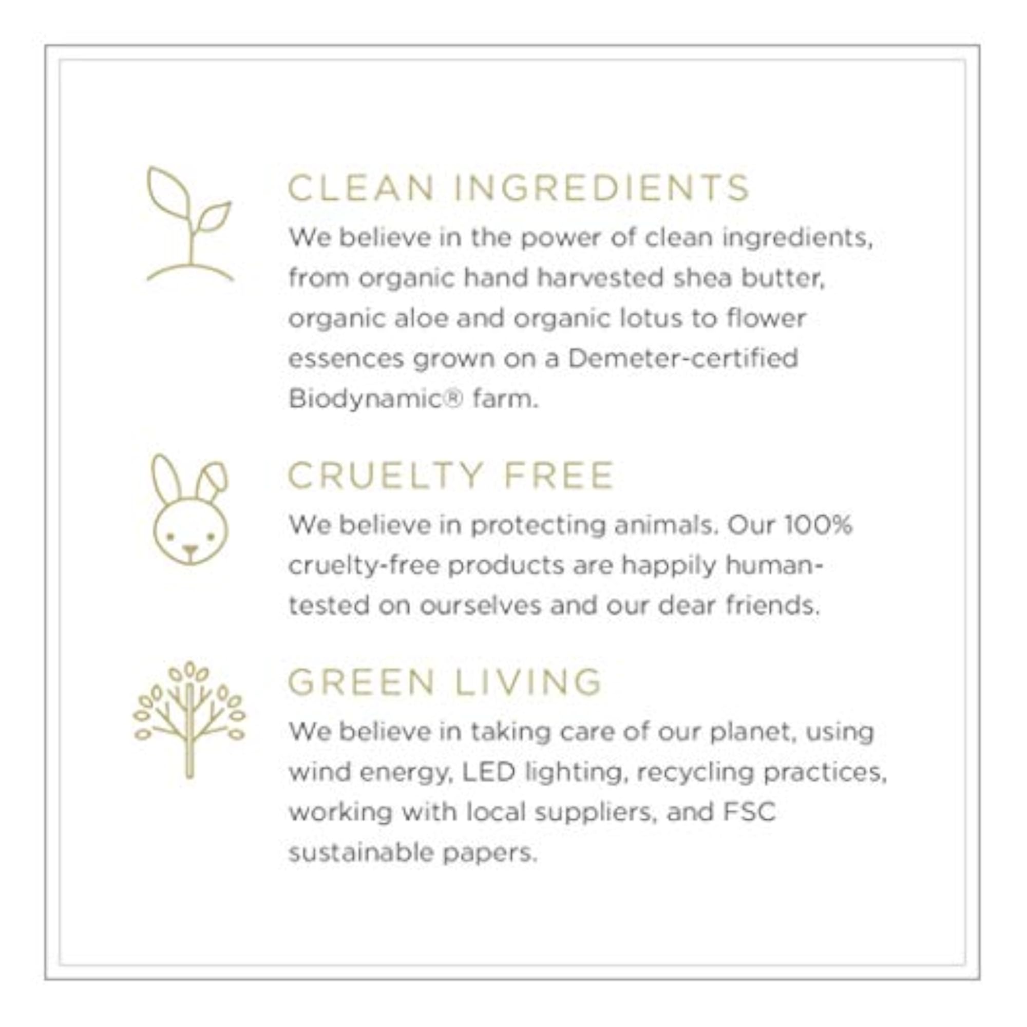Earth Concreta, Natural Skincare Product